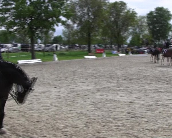 Reitturnier Ahlen 2017