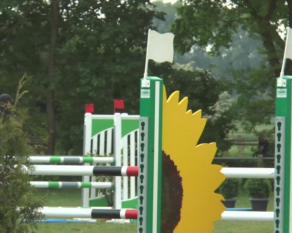 Reitturnier Lienen 2017