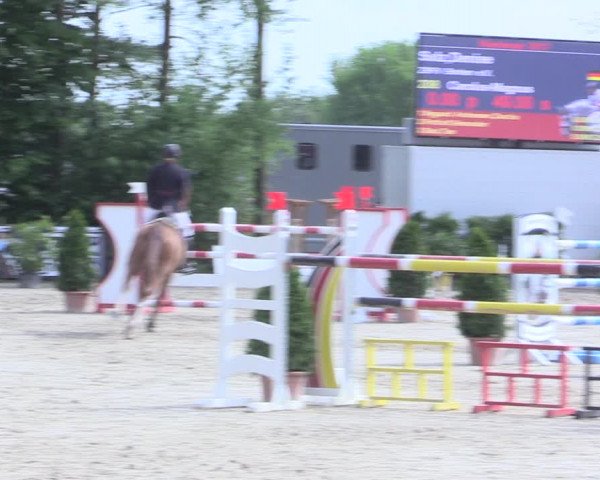 Reitturnier Nienberge 2017