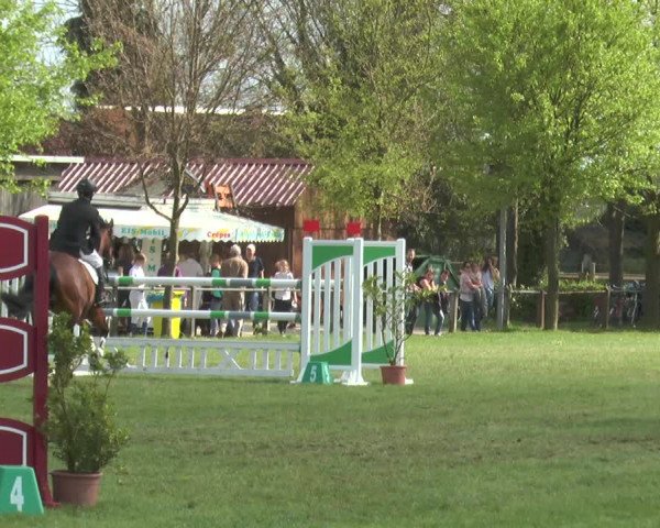 Reitturnier Lienen 2017