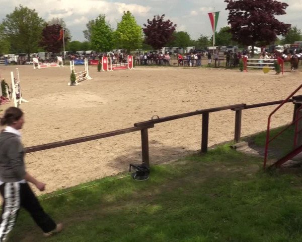 Reitturnier Ahlen 2017