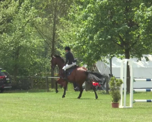 Reitturnier Lienen 2017