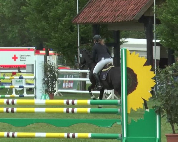 Reitturnier Lienen 2017