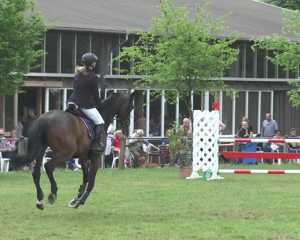Reitturnier Lienen 2017