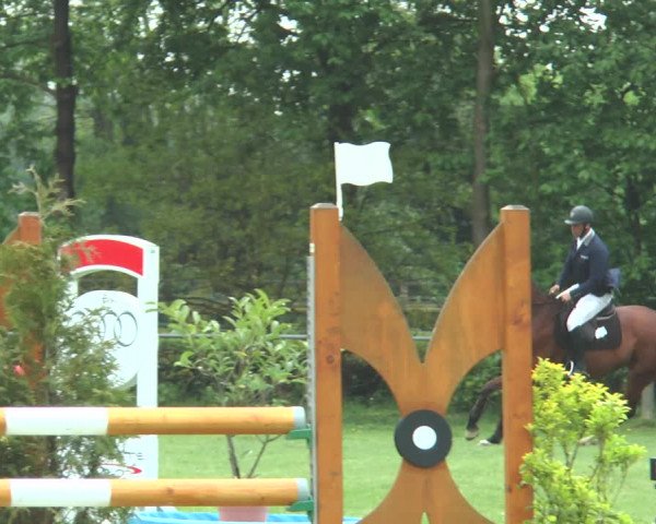 Reitturnier Lienen 2017