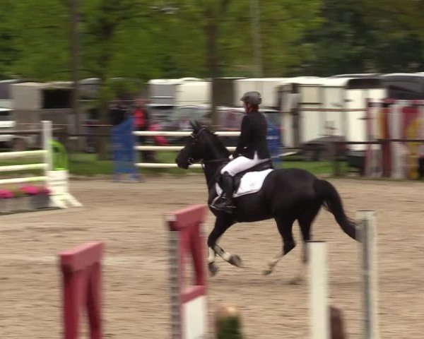 Reitturnier Ahlen 2017