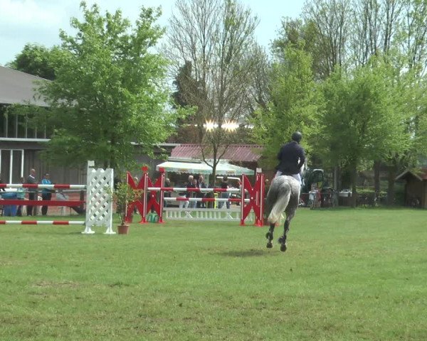 Reitturnier Lienen 2017