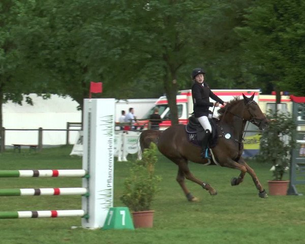 Reitturnier Lienen 2017