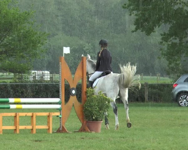 Reitturnier Lienen 2017