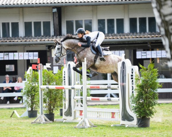 jumper Call me Benji (Holsteiner, 2015, from Clarcon)