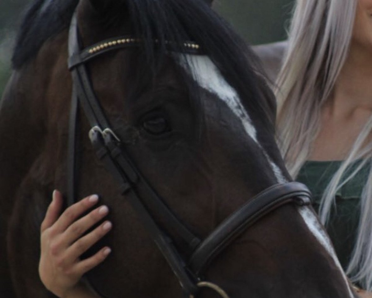 horse Calippo Cola (Bavarian, 2013, from Clooney)