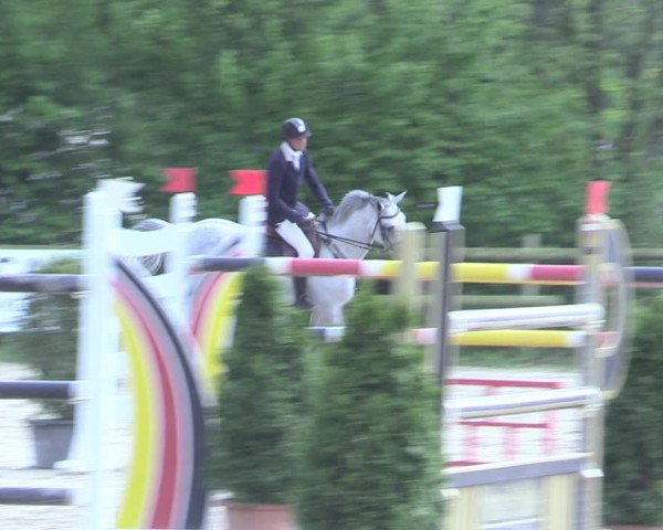 Reitturnier Nienberge 2017