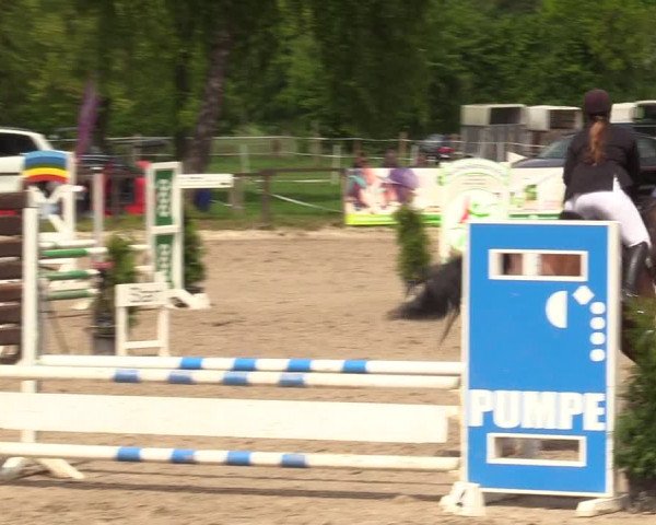 Reitturnier Ahlen 2017