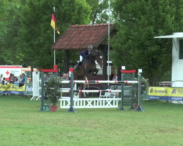 Reitturnier Lienen 2017