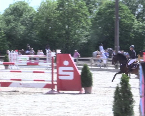 Reitturnier Nienberge 2017