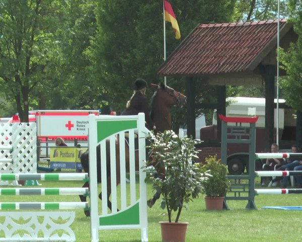 Reitturnier Lienen 2017