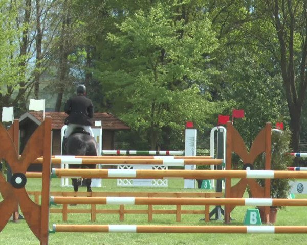 Reitturnier Lienen 2017