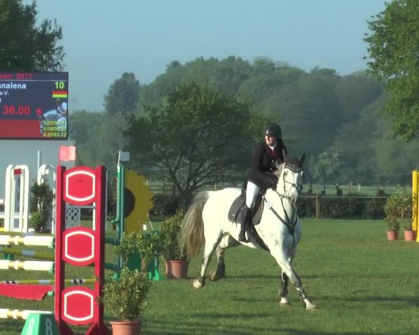 Reitturnier Lienen 2017