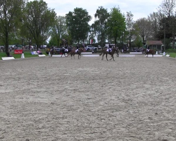 Reitturnier Ahlen 2017