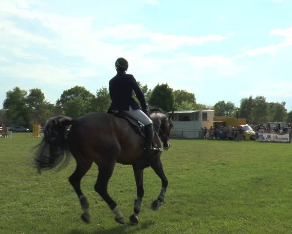 Reitturnier Lienen 2017