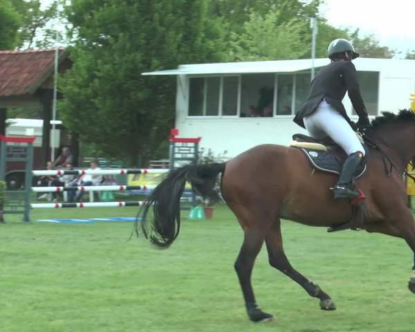 Reitturnier Lienen 2017