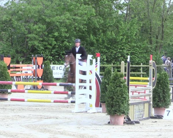 Reitturnier Nienberge 2017