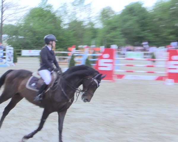 Reitturnier Nienberge 2017