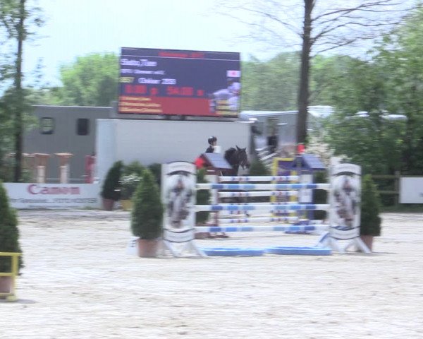 Reitturnier Nienberge 2017
