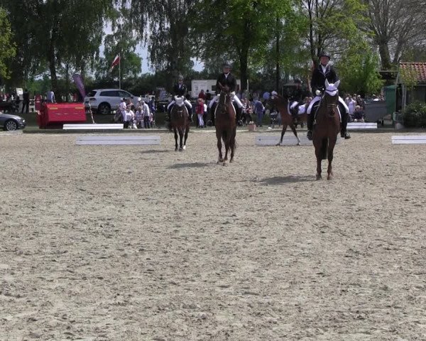 Reitturnier Ahlen 2017
