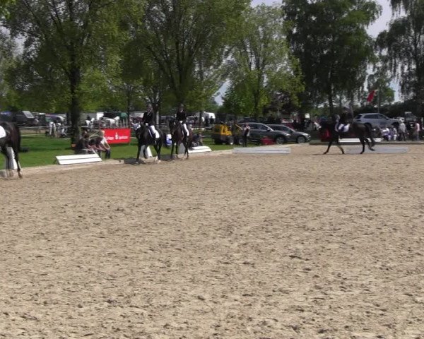 Reitturnier Ahlen 2017