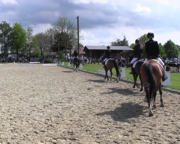 Reitturnier Ahlen 2017