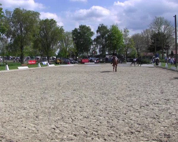 Reitturnier Ahlen 2017
