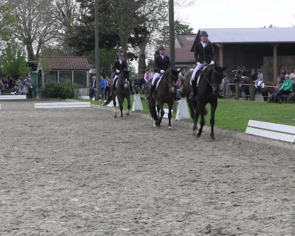 Reitturnier Ahlen 2017
