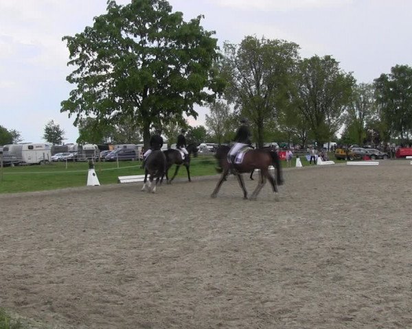 Reitturnier Ahlen 2017