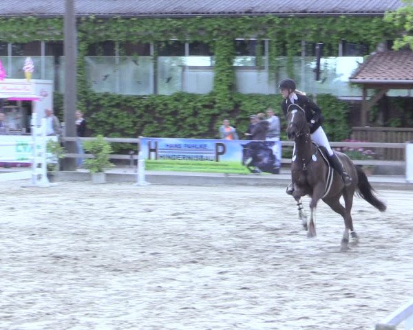 Reitturnier Nienberge 2017