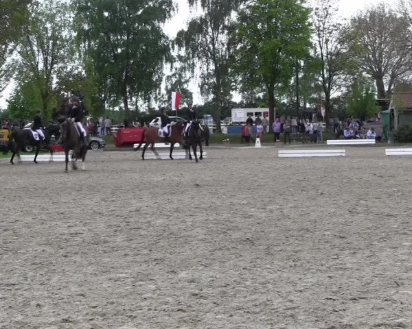 Reitturnier Ahlen 2017