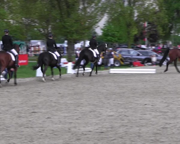 Reitturnier Ahlen 2017