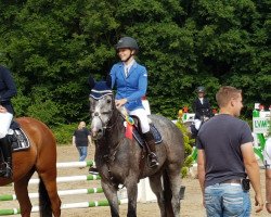 jumper Daily de Luxe (KWPN (Royal Dutch Sporthorse), 2014, from Dallas VDL Z)