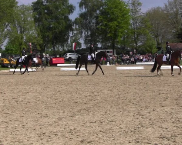 Reitturnier Ahlen 2017
