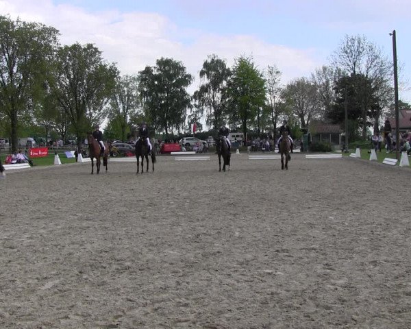 Reitturnier Ahlen 2017