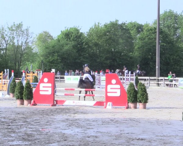 Reitturnier Nienberge 2017