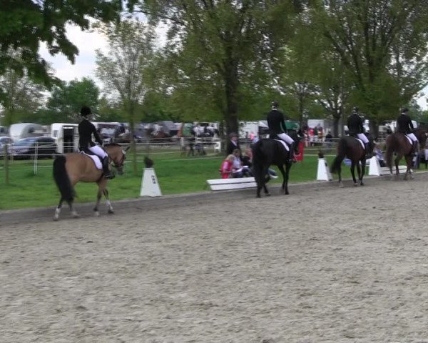 Reitturnier Ahlen 2017