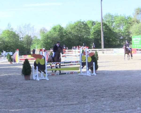 Reitturnier Nienberge 2017