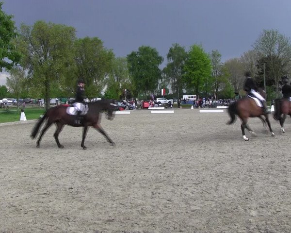 Reitturnier Ahlen 2017