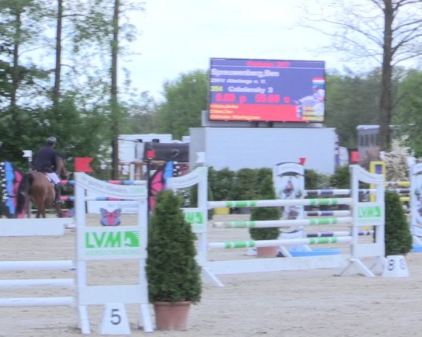 Reitturnier Nienberge 2017