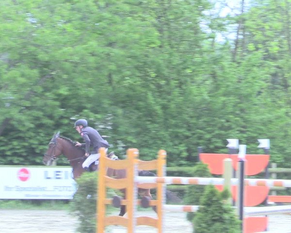 Reitturnier Nienberge 2017
