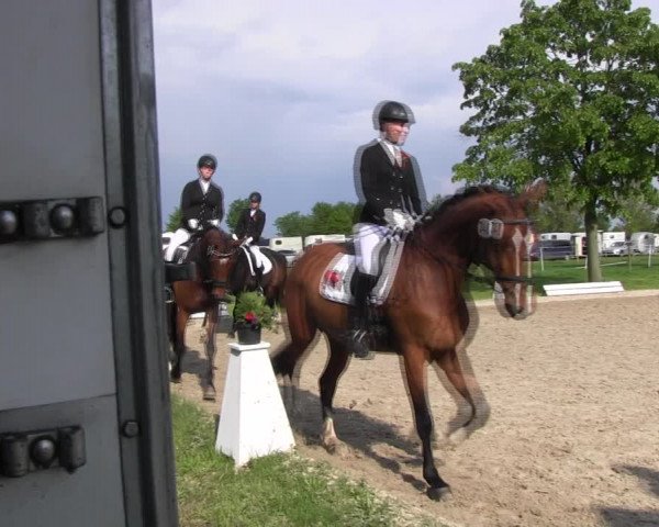 Reitturnier Ahlen 2017