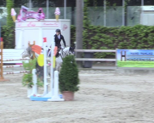 Reitturnier Nienberge 2017