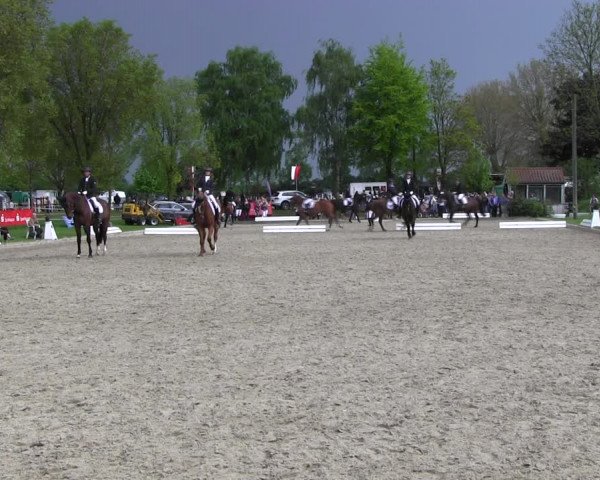Reitturnier Ahlen 2017