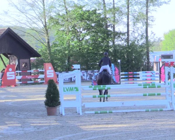 Reitturnier Nienberge 2017